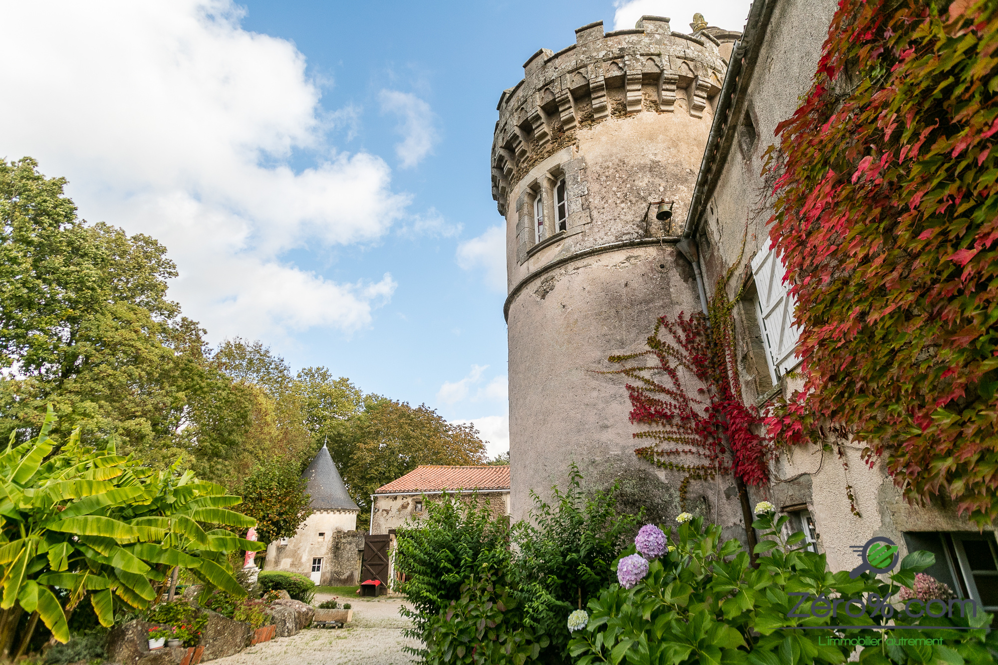 vente Chateau à StChristopheduLigneron